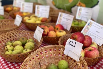 Agrandir l'image 25746 sur 3, fenêtre modale