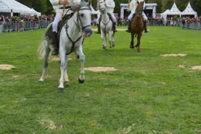 Agrandir l'image 26880 sur 46, fenêtre modale