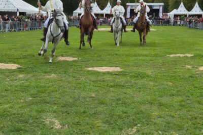 Agrandir l'image 26891 sur 46, fenêtre modale