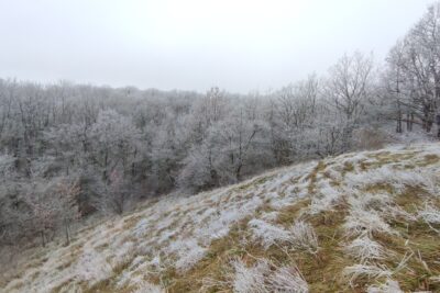 Agrandir l'image 26710 sur 16, fenêtre modale