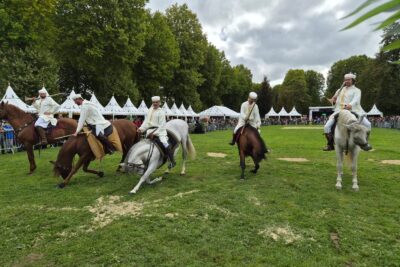 Agrandir l'image 26915 sur 46, fenêtre modale