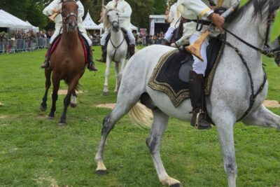 Agrandir l'image 26917 sur 46, fenêtre modale