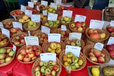 Agrandir l'image 26983 sur 21, fenêtre modale