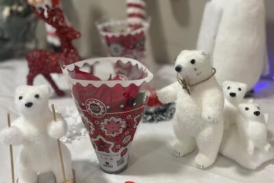 Agrandir l'image 27604 sur 5, fenêtre modale