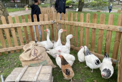 Agrandir l'image 29071 sur 13, fenêtre modale