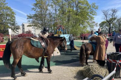 Agrandir l'image 29074 sur 13, fenêtre modale