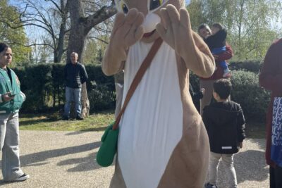 Agrandir l'image 29077 sur 13, fenêtre modale