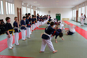 Enfants vêtus de kimono noir et blanc, s'entrainant sur tatamis
