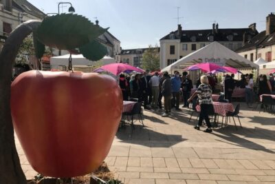 Agrandir l'image 13881 sur 3, fenêtre modale