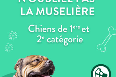 Agrandir l'image 23724 sur 4, fenêtre modale