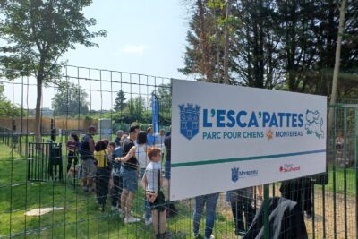 Agrandir l'image 24825 sur 8, fenêtre modale