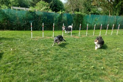 Agrandir l'image 24823 sur 8, fenêtre modale