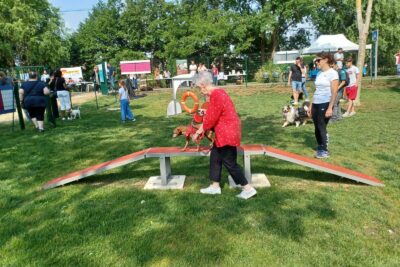 Agrandir l'image 24824 sur 8, fenêtre modale