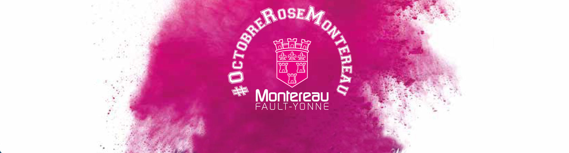 Résultat de recherche d'images pour "octobre rose 2019 montereau fault yonne"